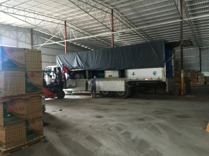 Gạch Nhập Khẩu 800x800mm KC1817