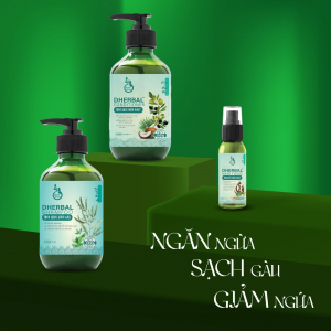 Combo Ngăn Ngừa Sạch Gàu, Giảm Ngứa - DHerbal