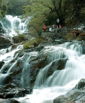 Tour Đà Lạt - Thành Phố Ngàn Hoa