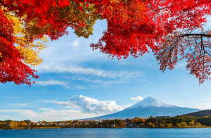 [DU LỊCH NHẬT BẢN] KHÁM PHÁ MÙA THU LÁ ĐỎ NHẬT BẢN TOKYO - KAWAGUCHIKO - FUJI