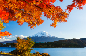 [DU LỊCH NHẬT BẢN] KHÁM PHÁ MÙA THU LÁ ĐỎ NHẬT BẢN TOKYO - KAWAGUCHIKO - FUJI