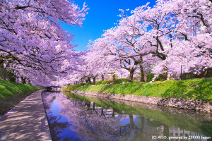 [DU LỊCH NHẬT BẢN] NAGOYA - SHIRAKAWAGO - TAKAYAMA - MATSUMOTO - ISAWACHO - FUJI - TOKYO