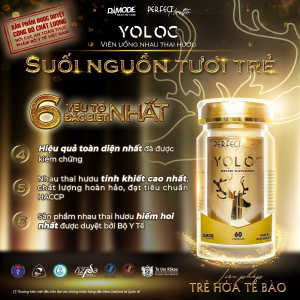 YOLOC - NHAU THAI HƯƠU