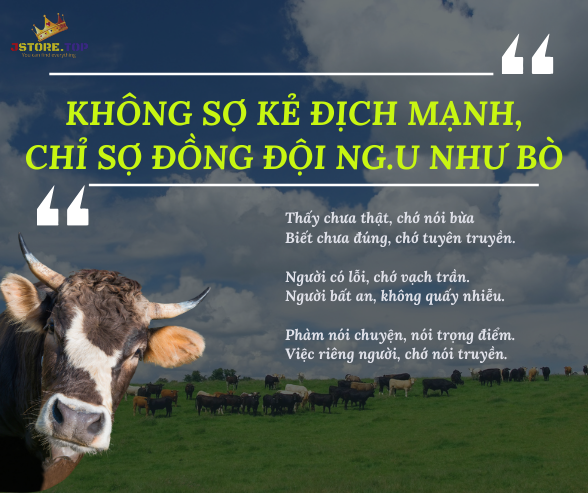 KHÔNG SỢ ĐỐI THỦ MẠNH, CHỈ SỢ ĐỒNG ĐỘI N.G.U NHƯ B.Ò.